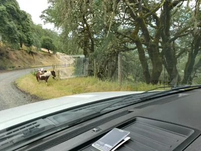 20190520_105750 (Large).jpg